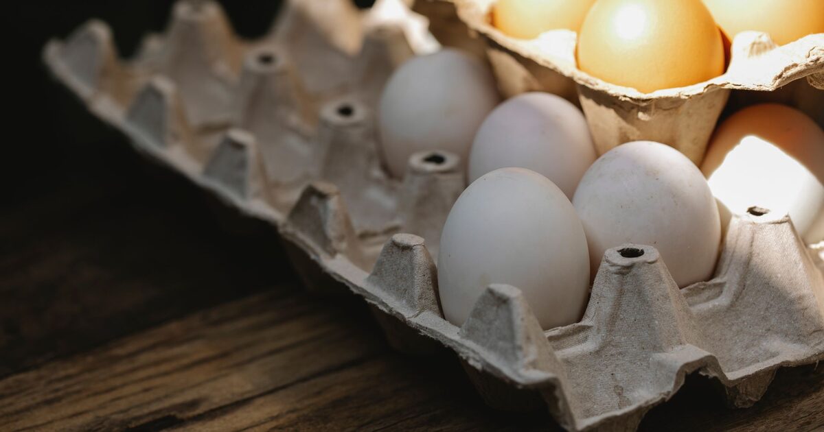 High-protein foods including eggs, chicken and legumes